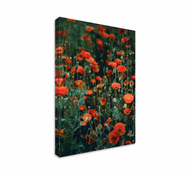 Flowers canvas red wildflowers meadow - TenStickers