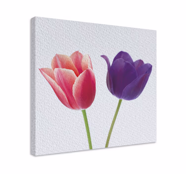 Flowers canvas tulip display - TenStickers