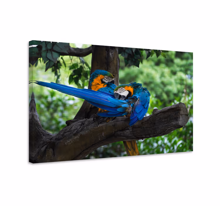 Dog wall art colorful parrots pair - TenStickers