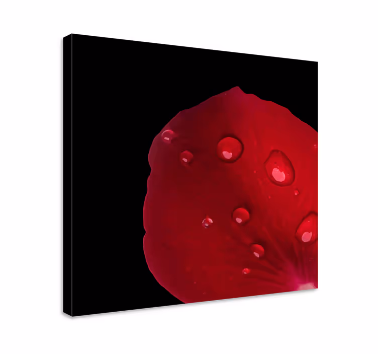 Flowers canvas with rose petal detail - TenStickers