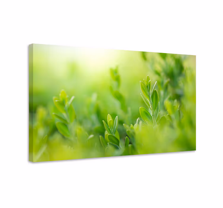 Light green spring leaves landscape canvas - TenStickers