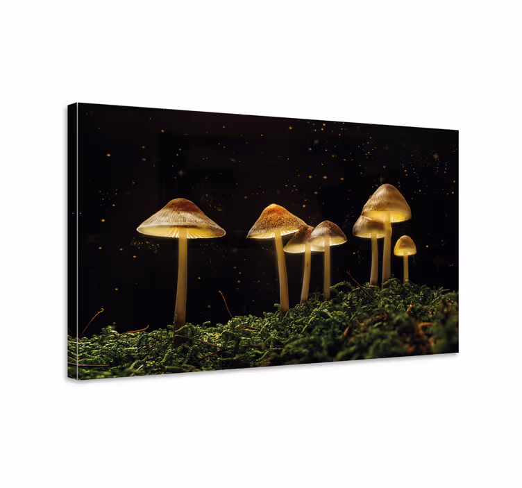 Flowers canvas glowing mushrooms art print - TenStickers