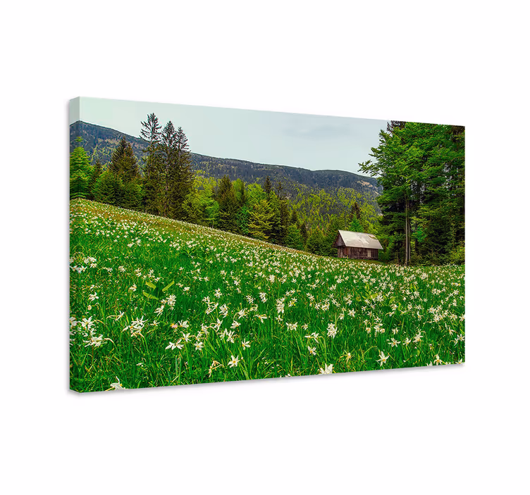 Landscape canvas charming countryside cabin - TenStickers