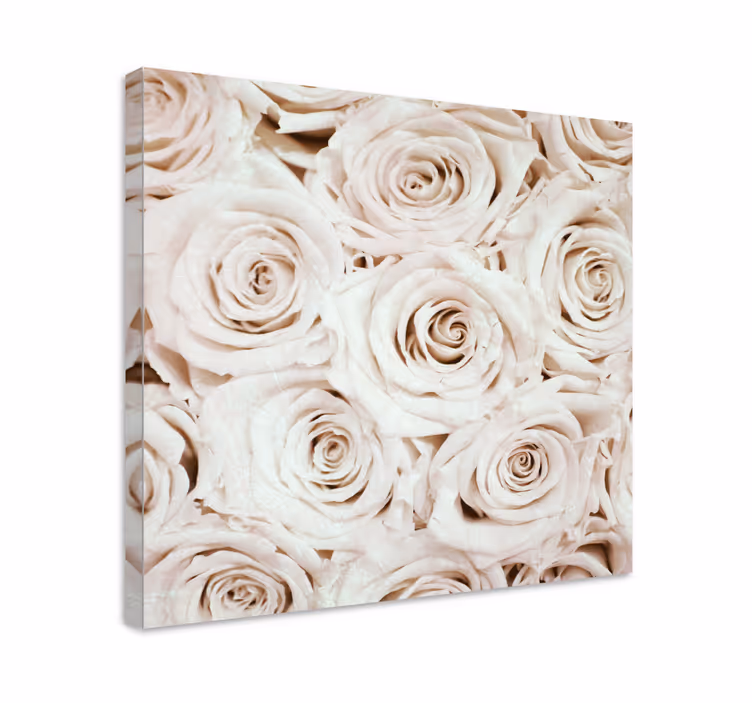 Flowers canvas gentle rose bloom - TenStickers