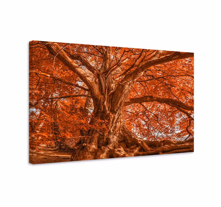 Tree canvas wall art majestic autumn canopy - TenStickers