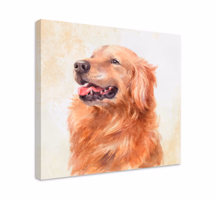Dog wall art golden retriever illustration - TenStickers