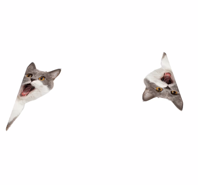 Animal vinyl rug with cat spying on white background - TenStickers