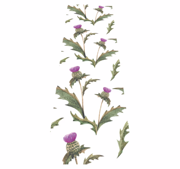 Bedroom vinyl rug scottish thistles design - TenStickers