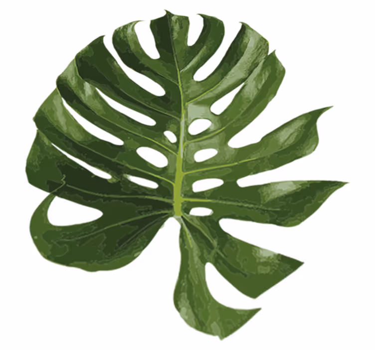 Floral vinyl rug with delightful monstera leaf - TenStickers