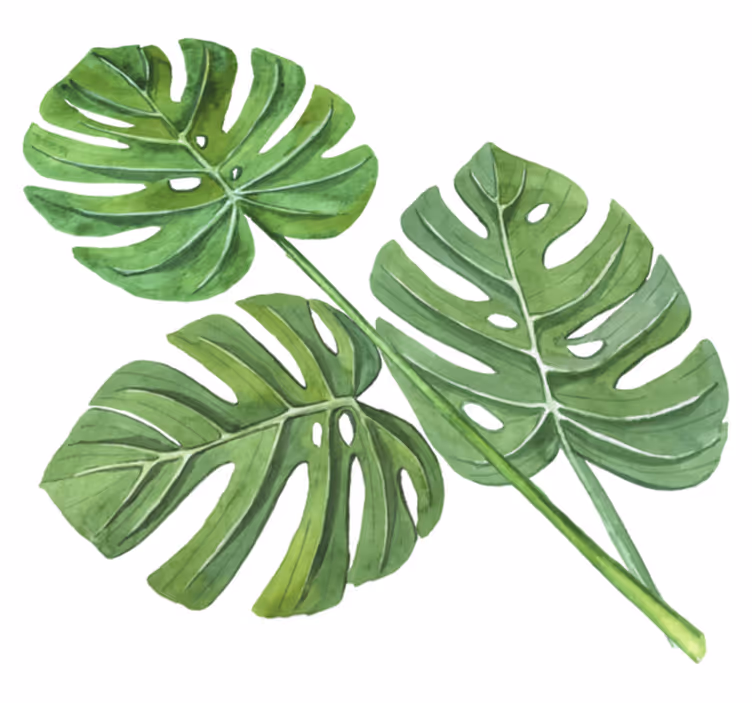 Floral vinyl rug with monstera watercolor leaves - TenStickers
