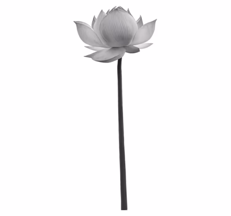 Bedroom vinyl rug lotus solitary flower - TenStickers