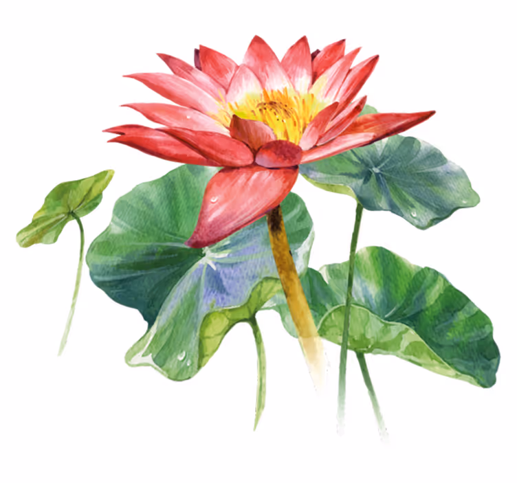 Bedroom vinyl rug lotus watercolor illusion - TenStickers