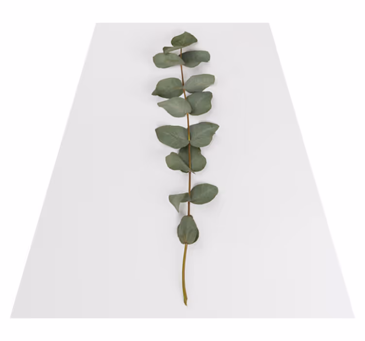Floral vinyl rug eucalyptus leaves - TenStickers