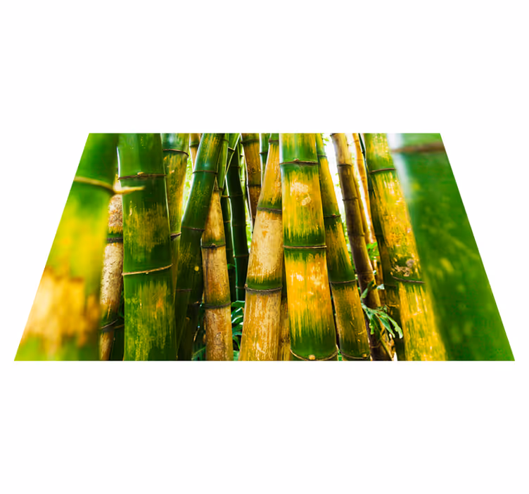Green vinyl rug bamboo forest design - TenStickers