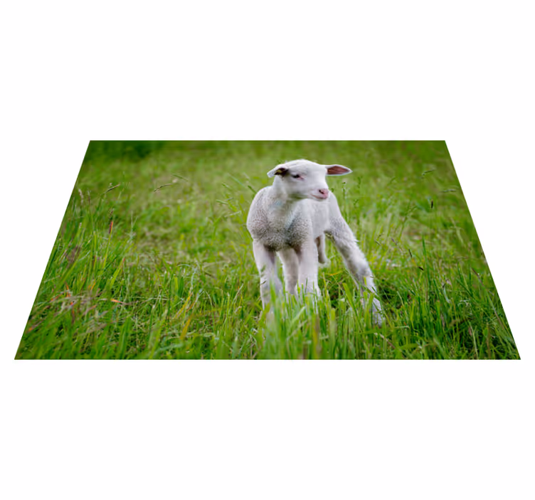 Baby lamb standing animal vinyl rug - TenStickers