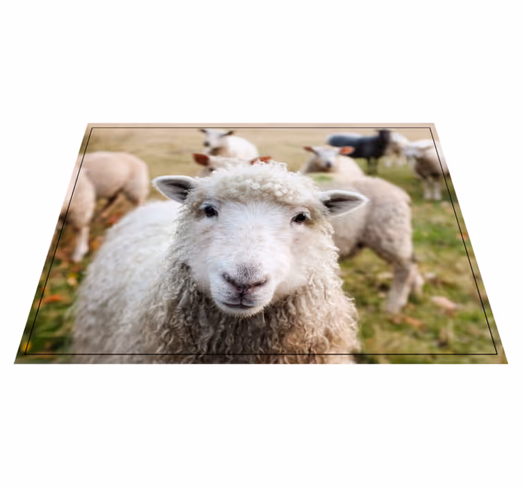 Animal sheep animal rug decoration - TenStickers
