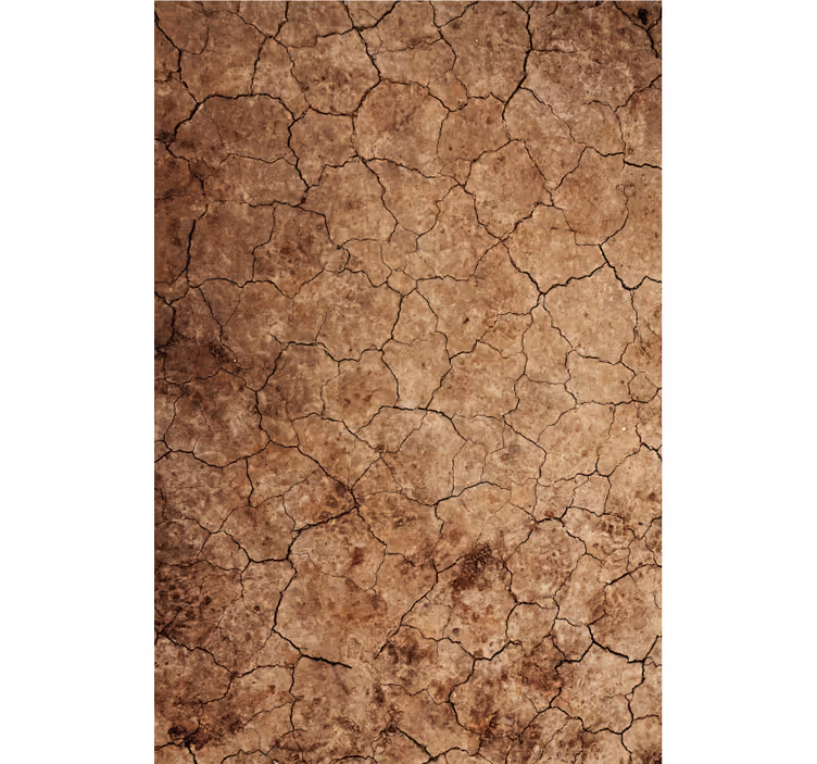 Textured wallpaper with arid cracked erosion effect - TenStickers