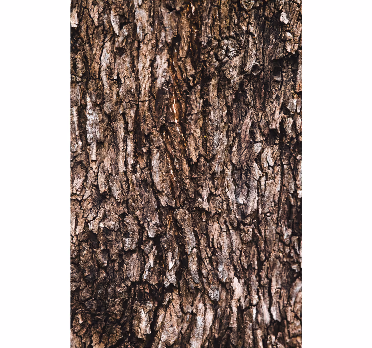 Master bedroom wallpaper realistic tree bark - TenStickers