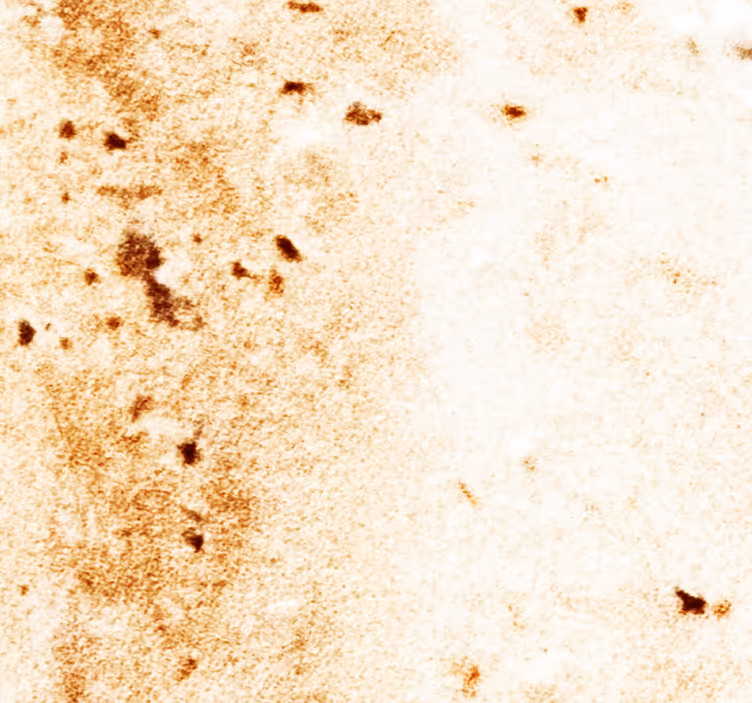 Soft marble texture Marble Wallpaper - TenStickers