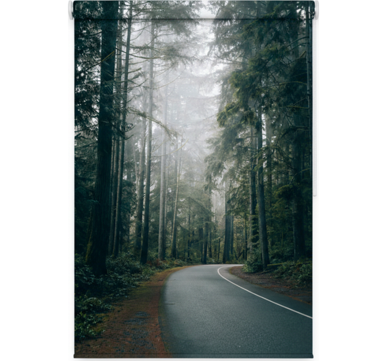 Tree blind foggy pine road - TenStickers