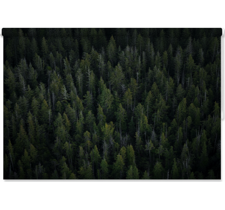 Tree blind deep woodland texture - TenStickers