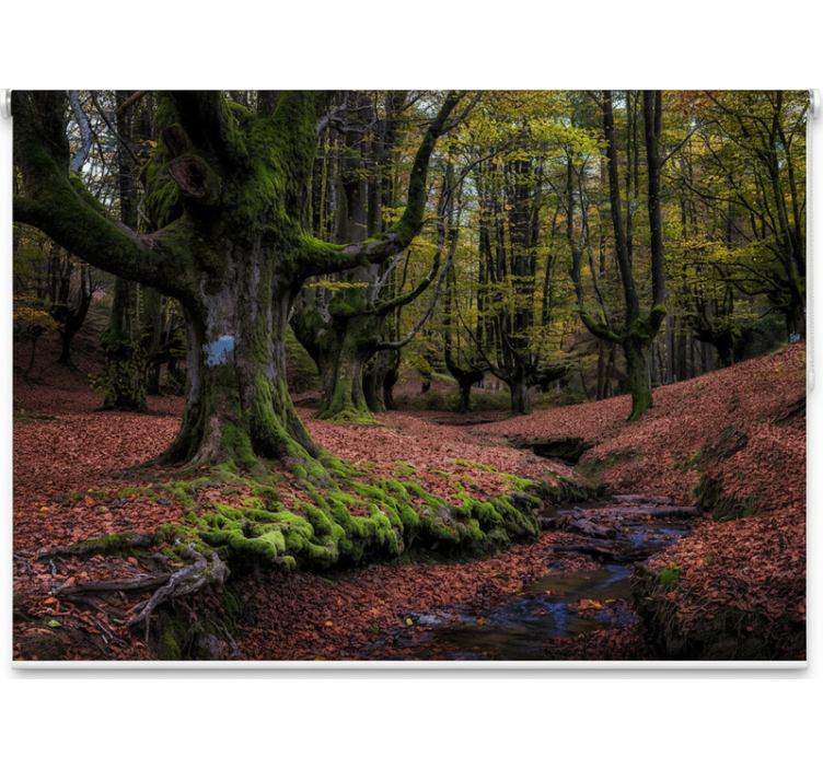 Tree blind in enchanted autumn forest - TenStickers