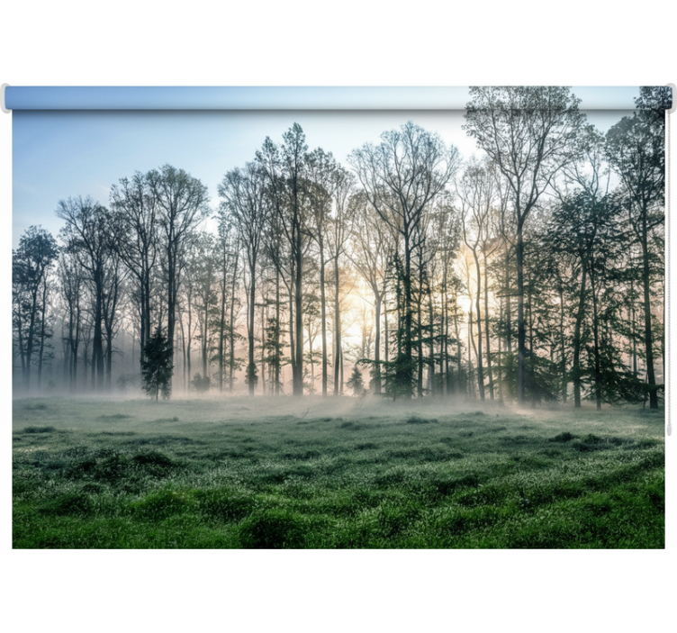 Misty morning meadow tree blind - TenStickers