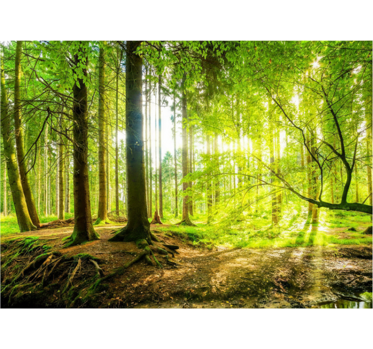 Lush mountain valley tree blind - TenStickers