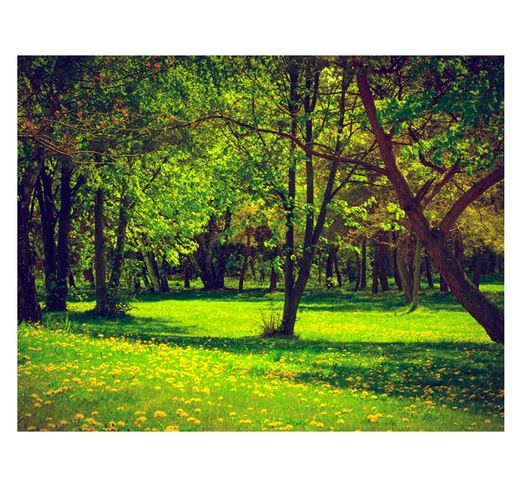 Blind green tranquil forest scene - TenStickers