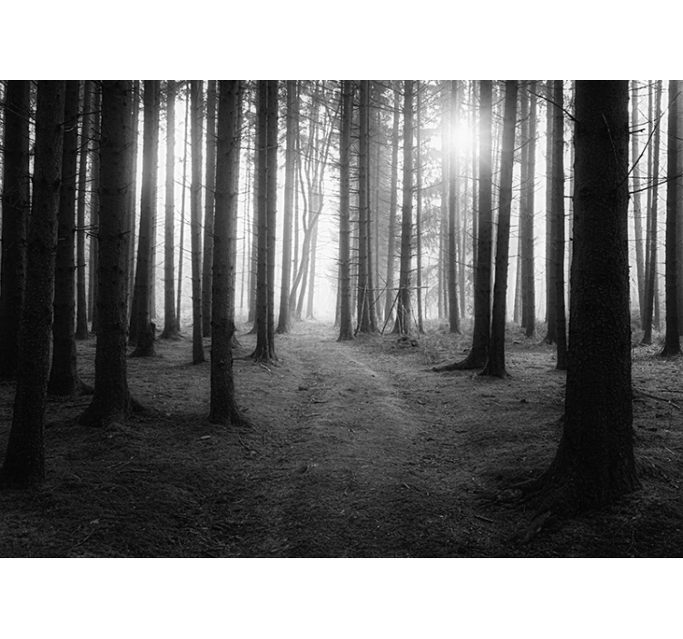 Blind grey enchanted grove - TenStickers