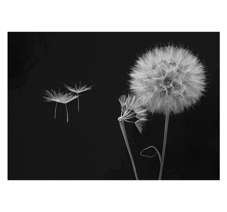 Blind grey dandelion seed wall mural - TenStickers
