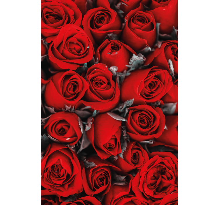 Red roses romantic Flower blind - TenStickers