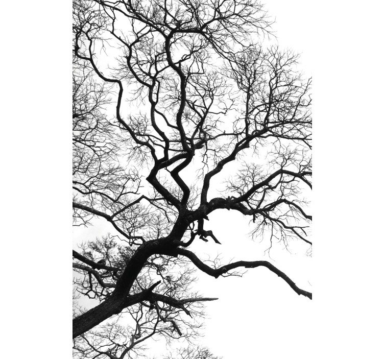 Single wood branch rupture Blind painting - TenStickers