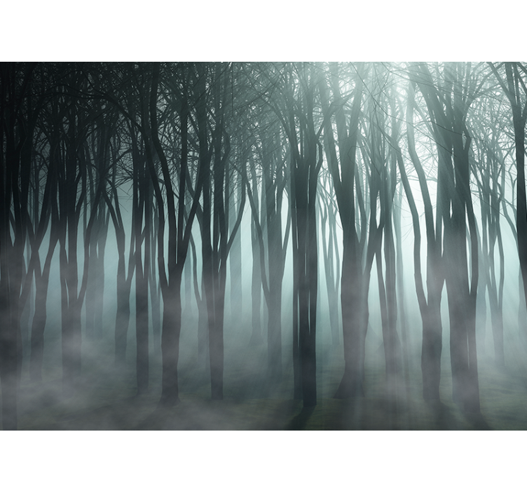 Tall trees and fog Living room blind - TenStickers