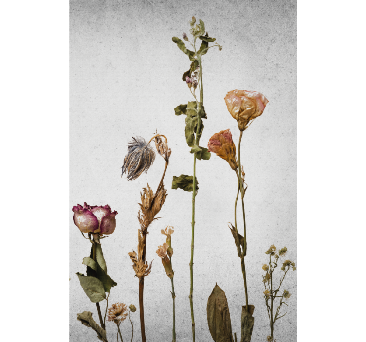 Dried Flower Arrangement blind flowers and plants - TenStickers