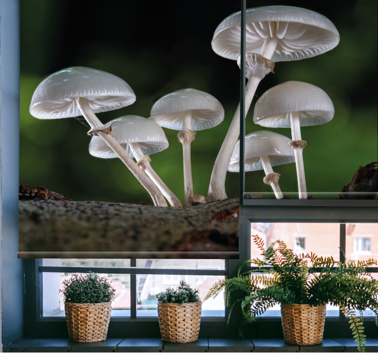 Mushroom Cluster blind flowers and plants - TenStickers