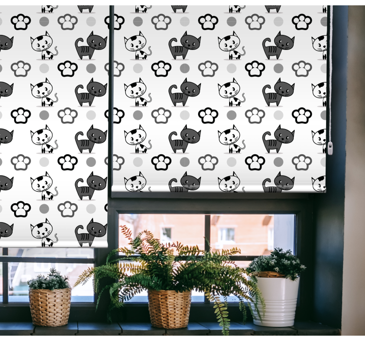 Grey and white cats animals blind - TenStickers