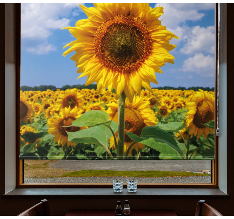 Sunflower with blue sky Flower blind - TenStickers