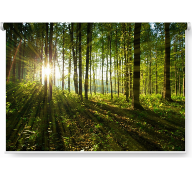 Tree blind in golden sunburst woods - TenStickers