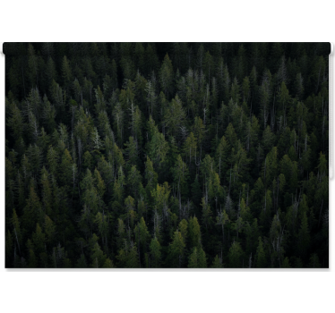 Tree blind deep woodland texture - TenStickers