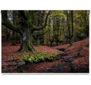 Tree blind in enchanted autumn forest - TenStickers