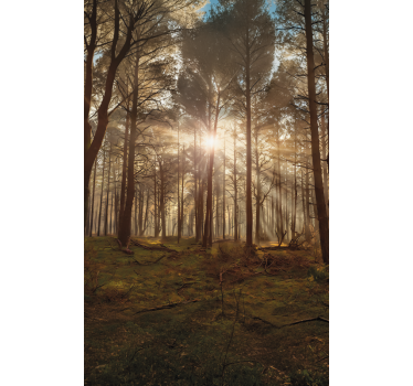 Tree blind golden wildlife lounge - TenStickers