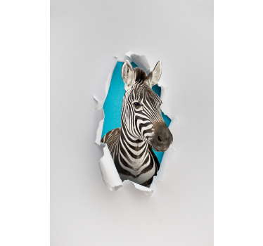 Zebra Animal blind - TenStickers