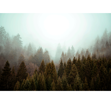 Misty Forest View tree blind - TenStickers