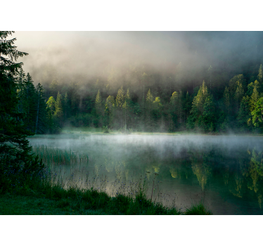Misty Forest Reflection tree blind - TenStickers