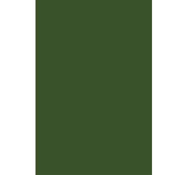 Green minimalist shade blackout roller blind - TenStickers