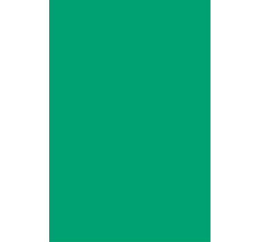 Vibrant Green Accent coloured blind - TenStickers
