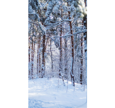 Snowy Pine Forest tree blind - TenStickers
