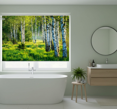 Tree blind birch grove contemporary - TenStickers