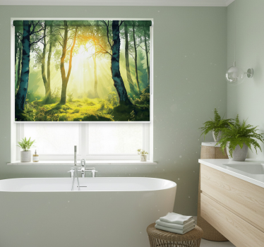 Tree blind sunlit birch mural - TenStickers